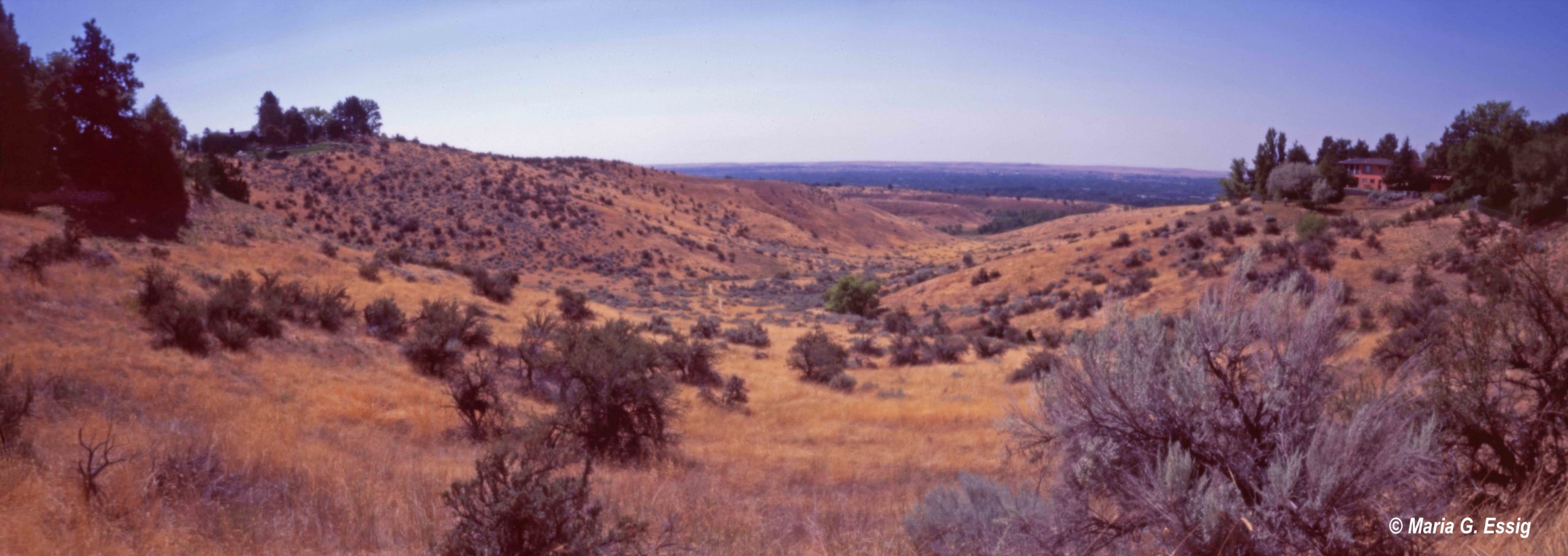 Boise Foothills AUG 21 ONDU004