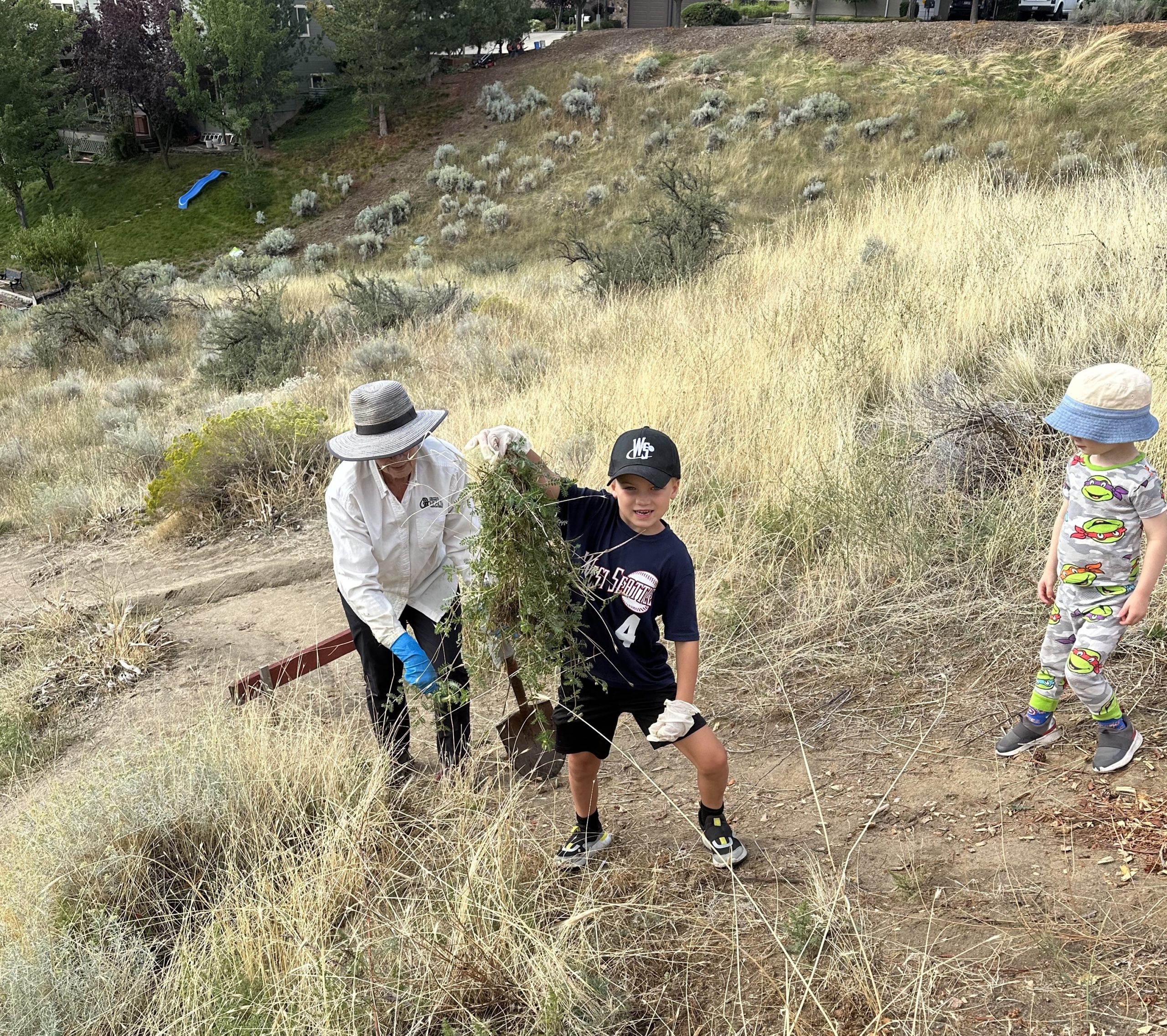 Kids picking goatheads